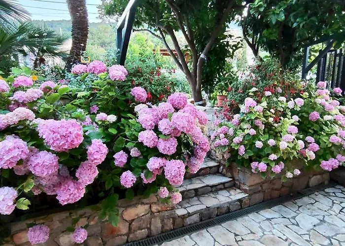 Orange Hébergement de vacances *